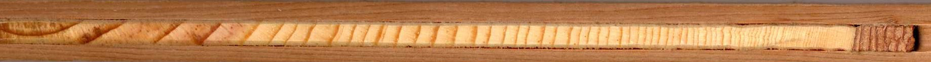 A high resolution scan of a live-tree core.