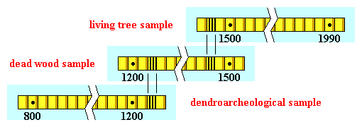 application of crossdating