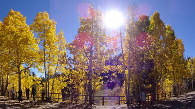 fall colors Mt. Lemmon
