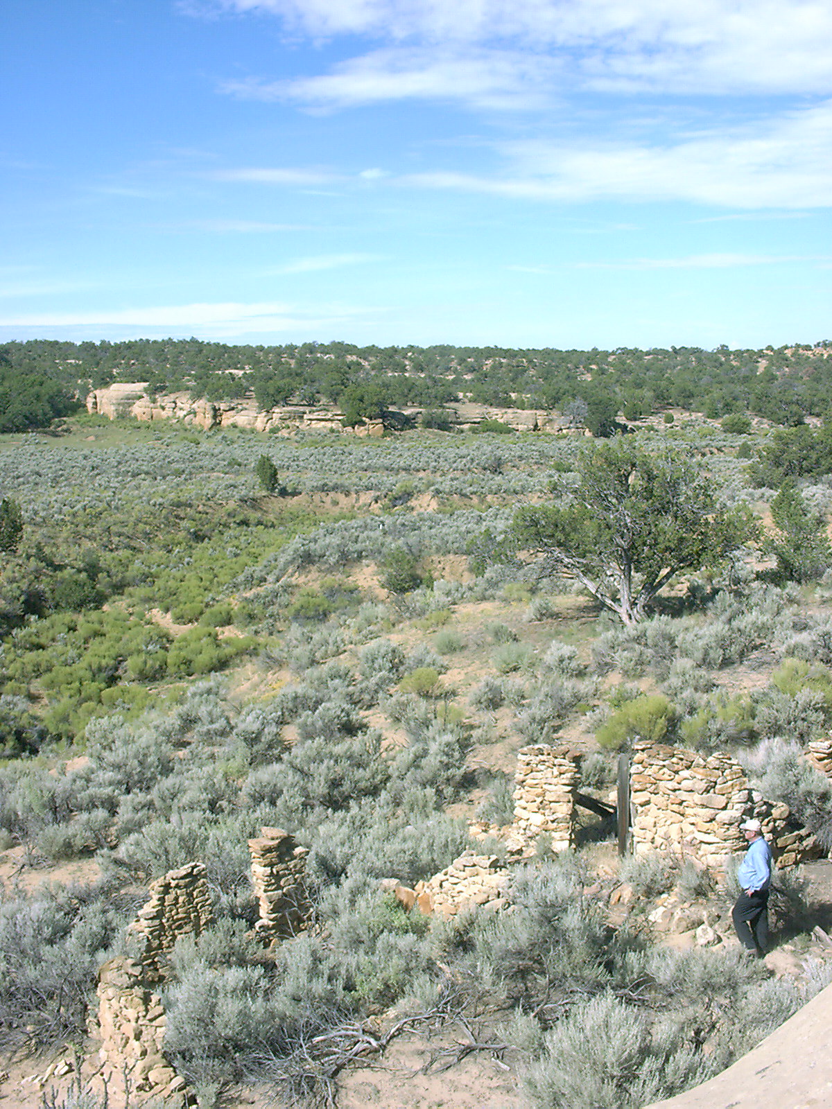 jones overview across rincon