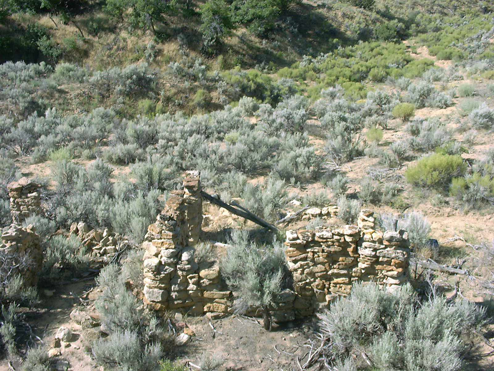 jones site from above