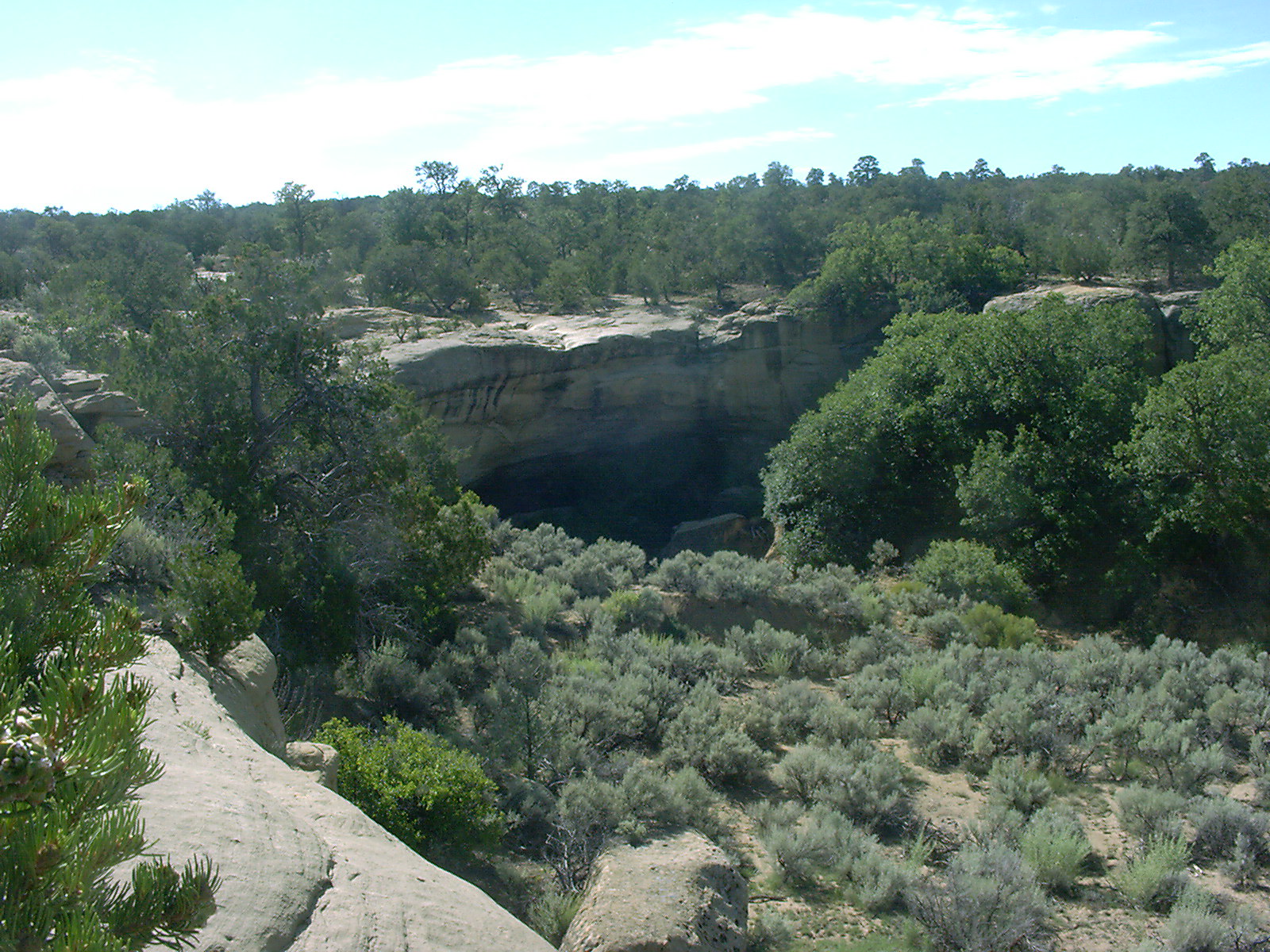 jones view to spring se