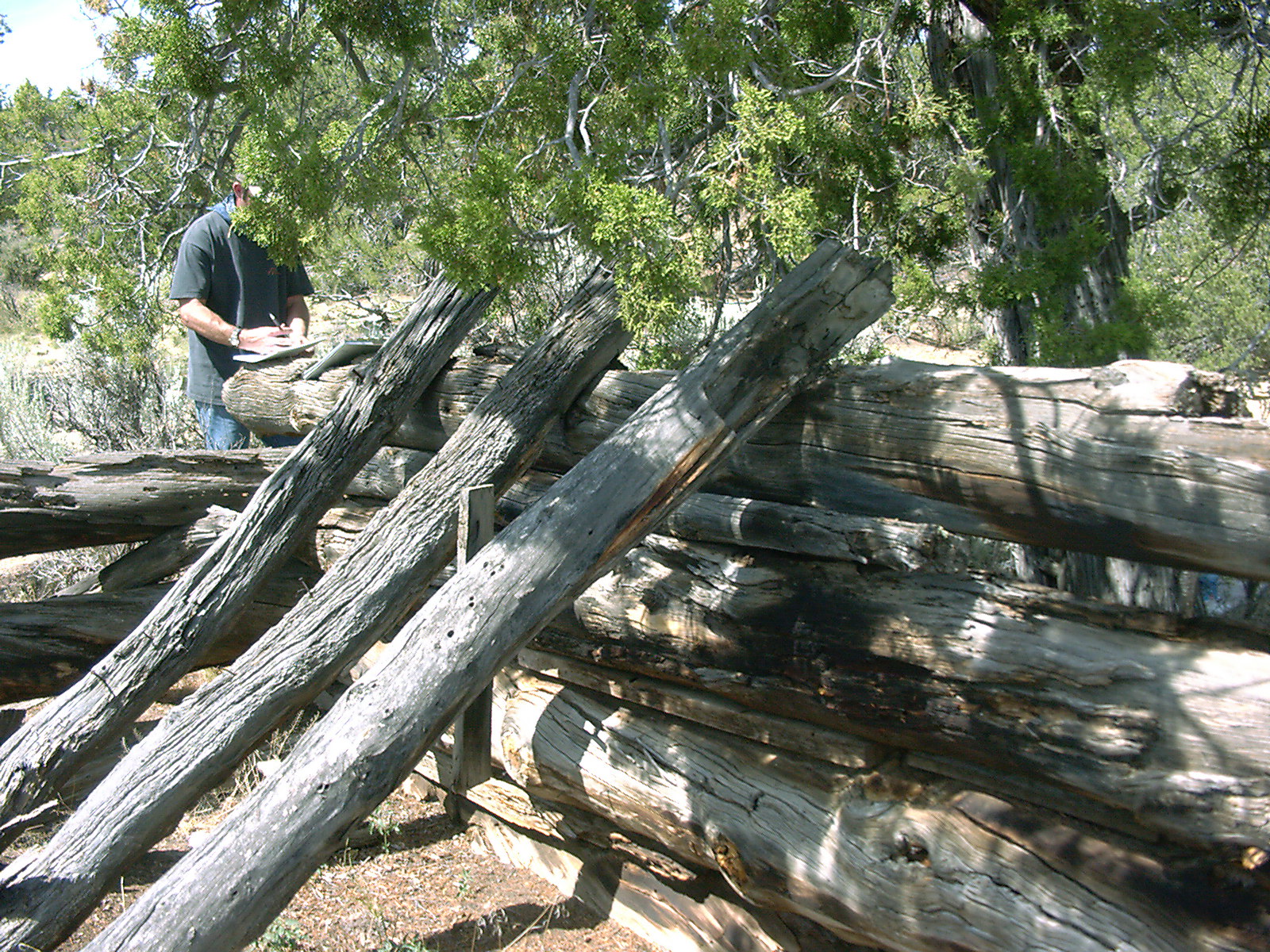 Reynolds cabin roof beams