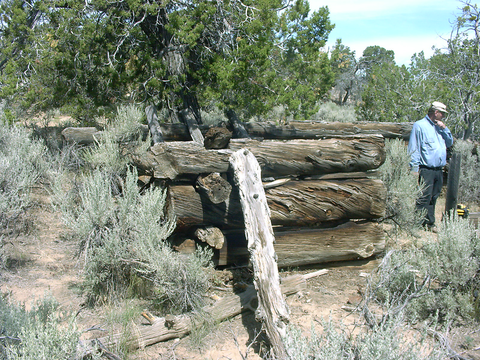 Reynolds cabin view w