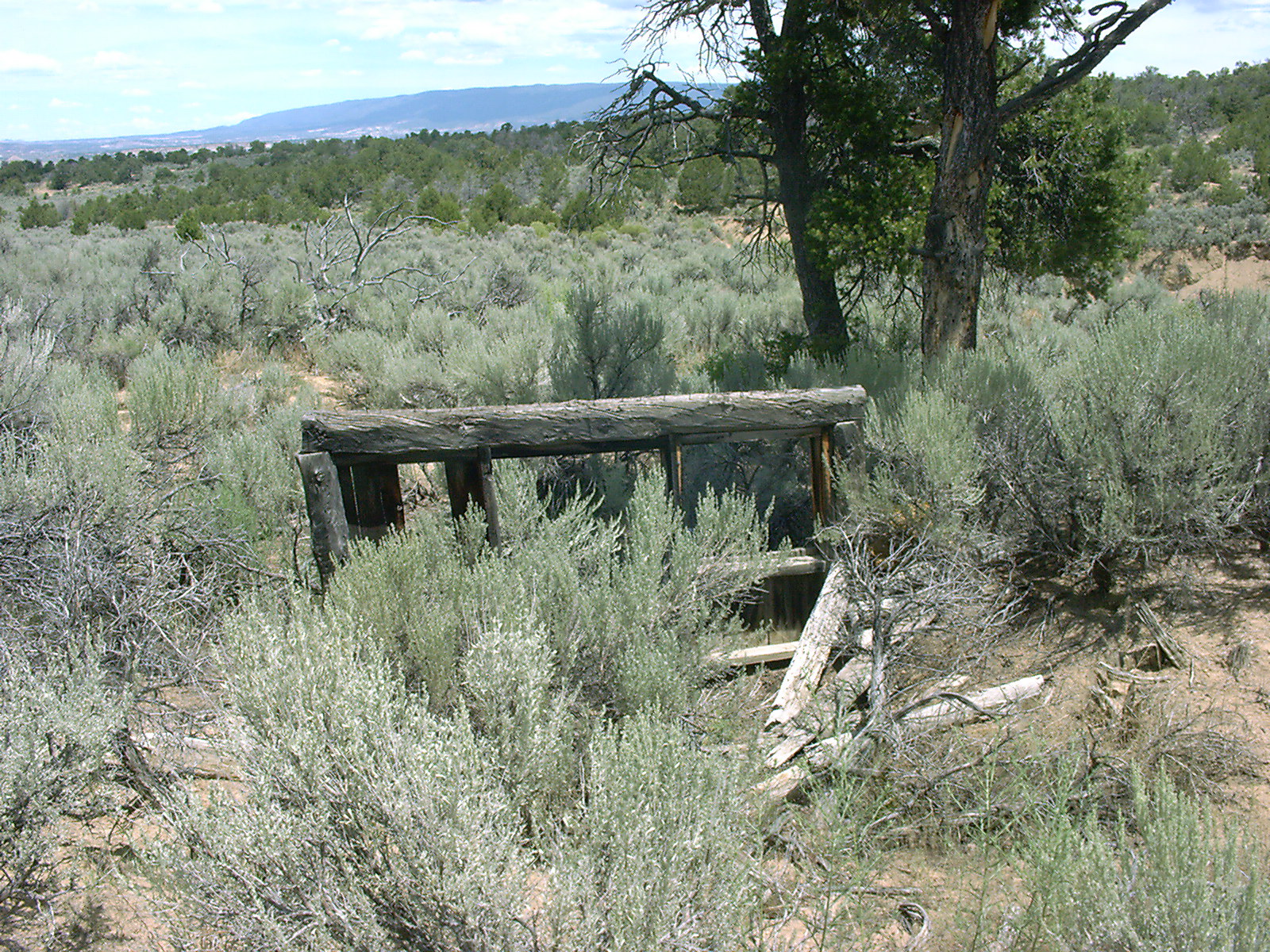 Reynolds dugout v ne