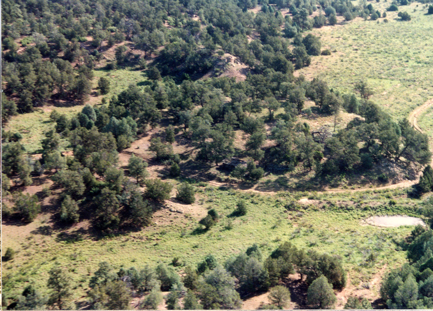 overhead view of environment