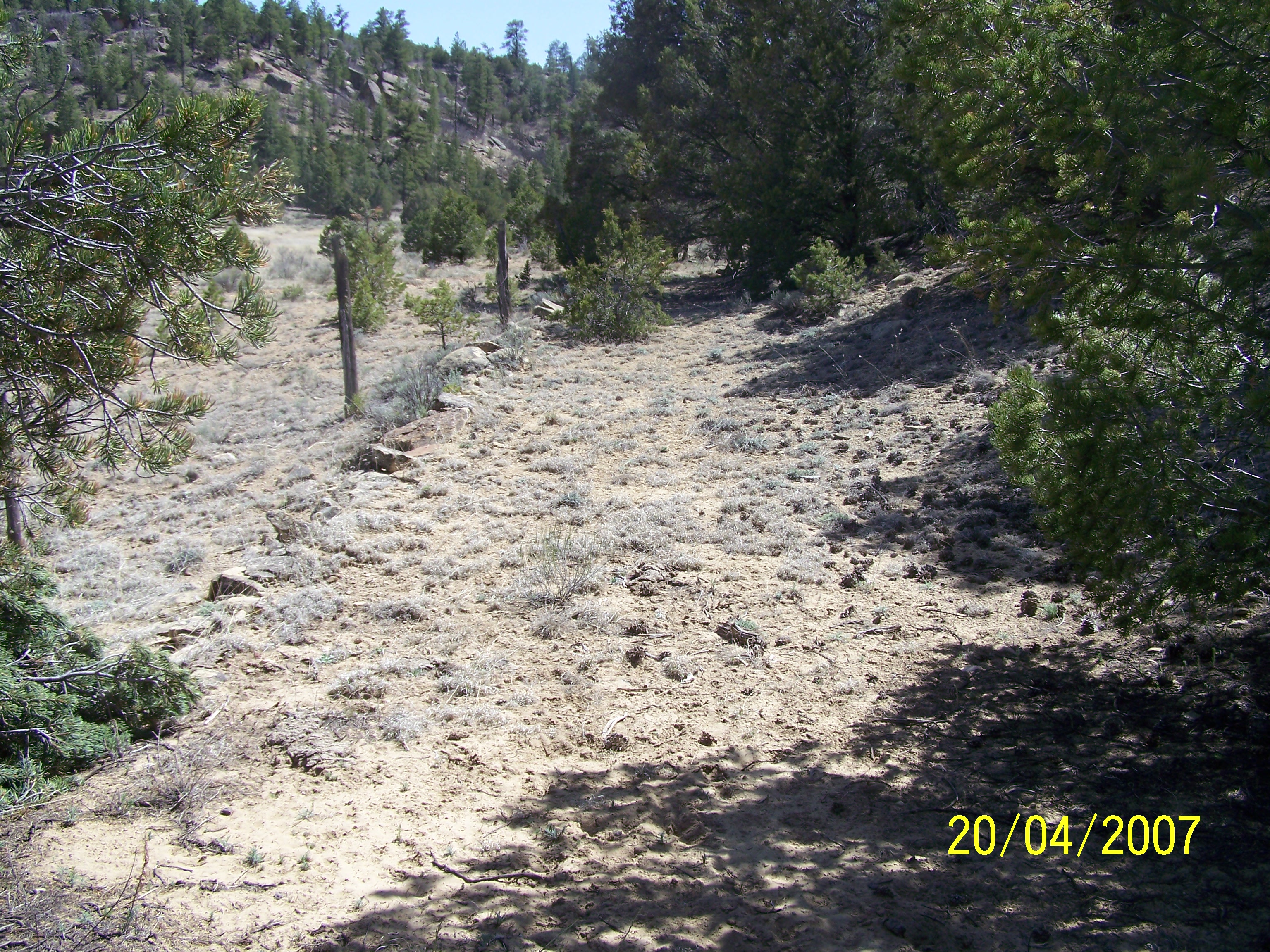 Feature 26 (arroyo road) looking south