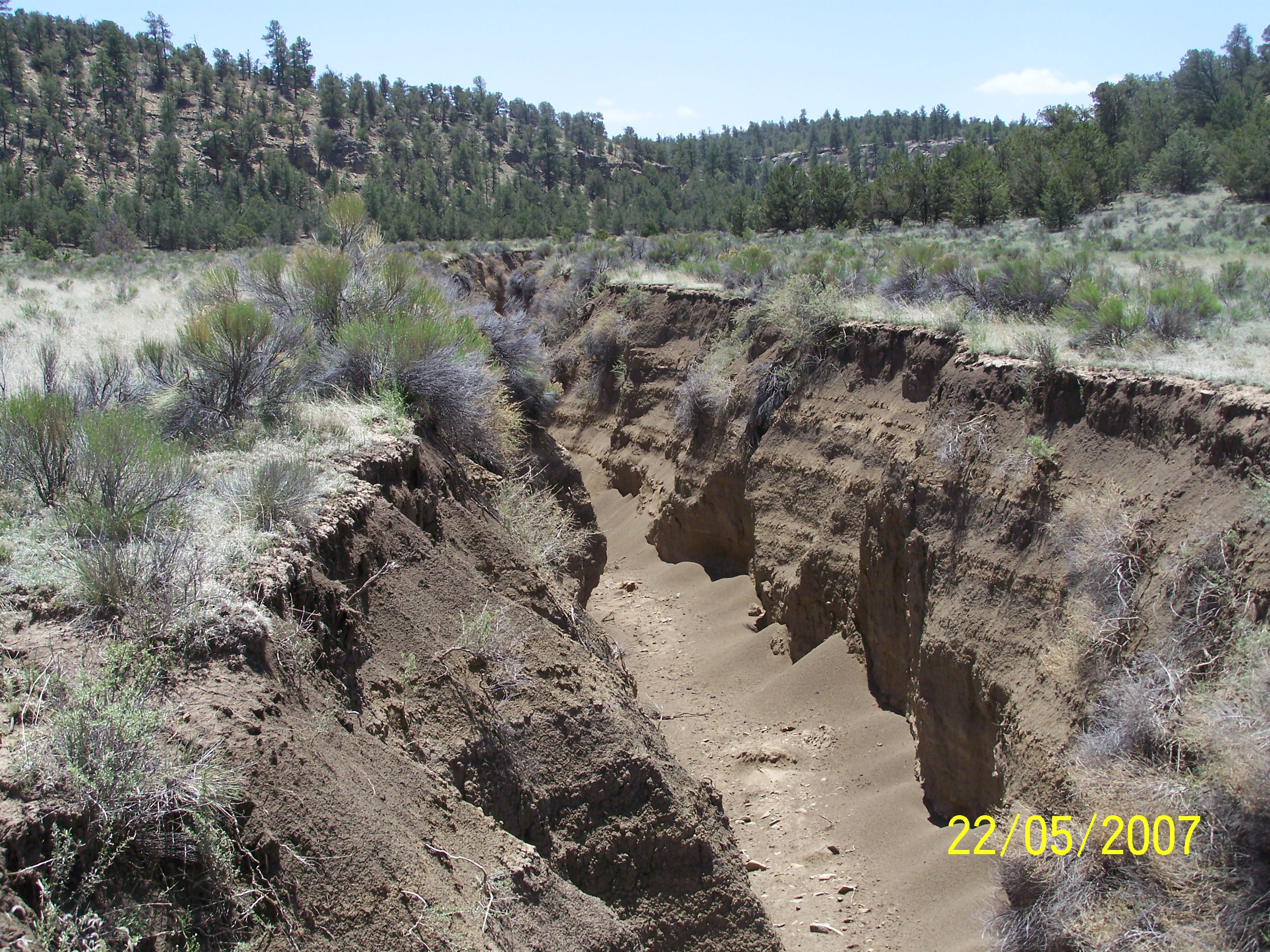 Feature 26 (arroyo road) looking south-east
