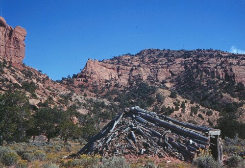 Wildcat Canyon Navajo stick house