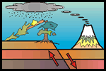 dendrogeomorphology graphic