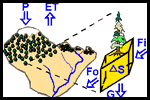 dendrohydrology graphic