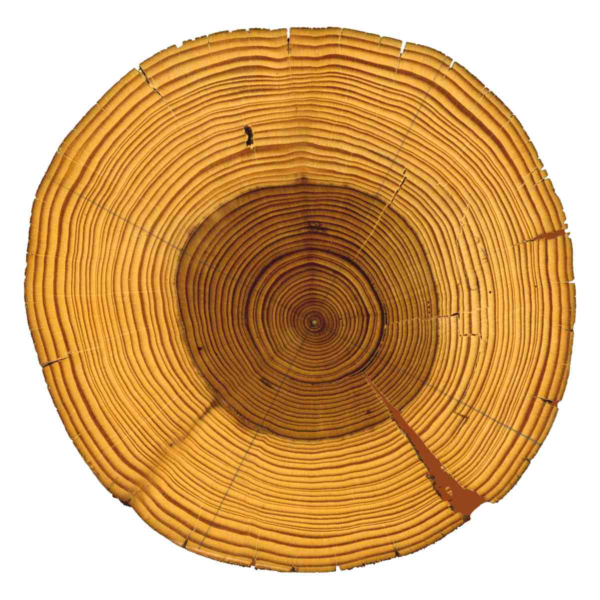 beam cross-section