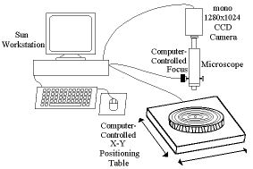 TREES System Diagram