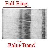 easy false ring
