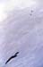 18 lori_rick_tracks