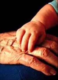 old_and_new_hands.jpg (11495 bytes)