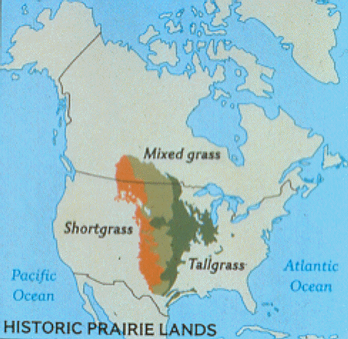 Grasslands Map
